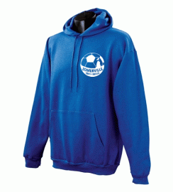 Somerville YS Hooded Sweatshirt w/Left Chest Logo